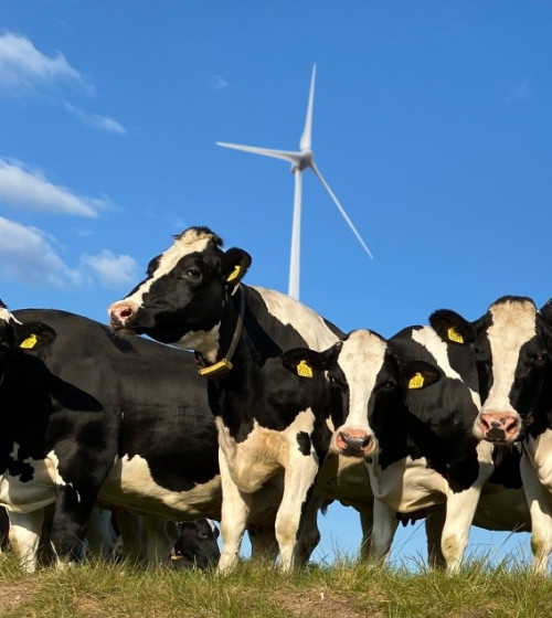 2020 08 10 Header website Wind voor Buren 2